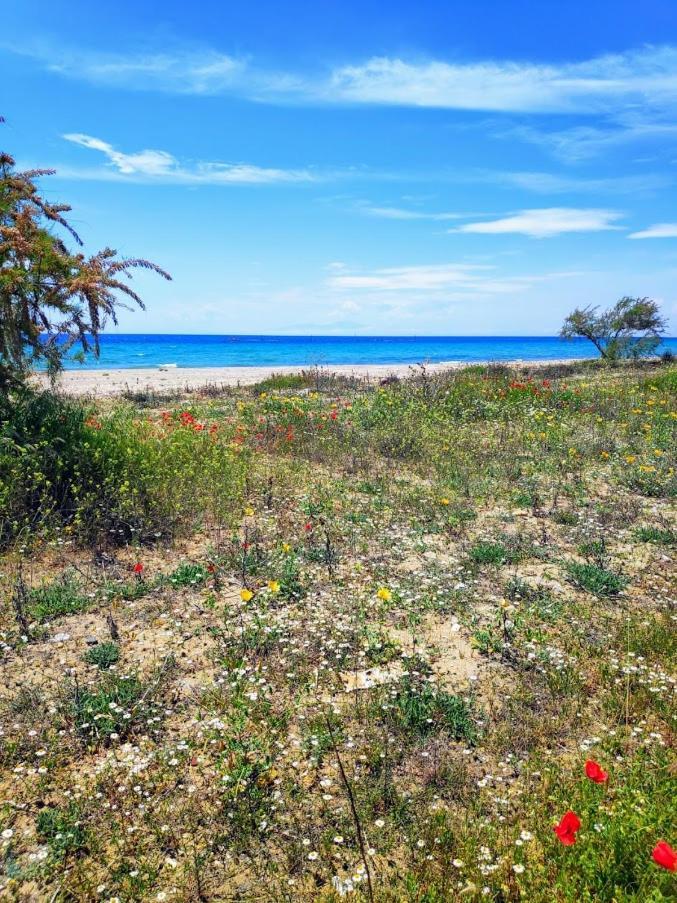 Seaside Family Apartment In Paralia Dionisiou Exterior foto